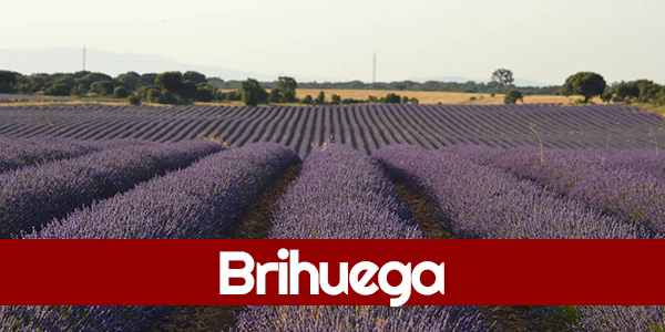 Visit Brihuega